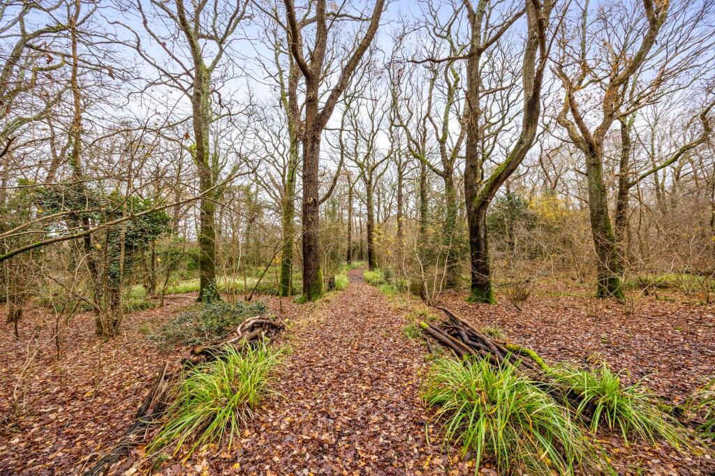 Brighton Road, Hassocks, BN6 - More