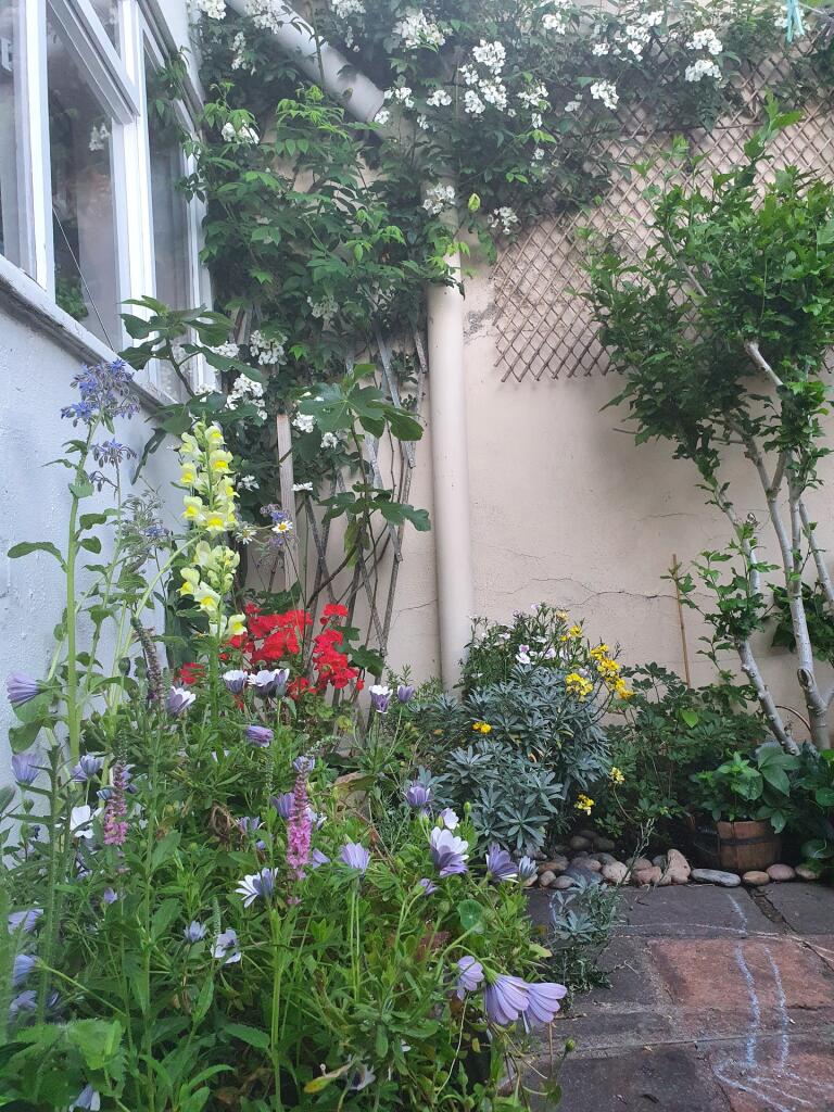 Photo of the property