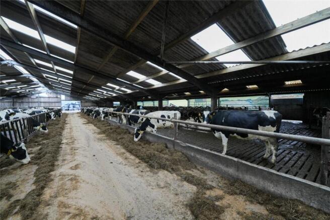 Dairy Complex