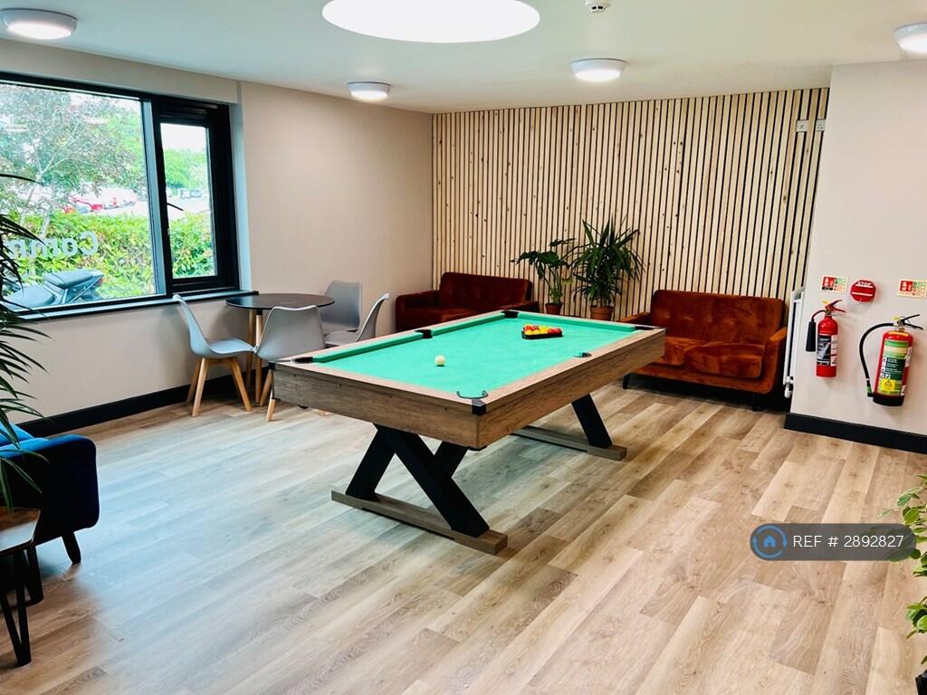 1 bedroom flat share for rent