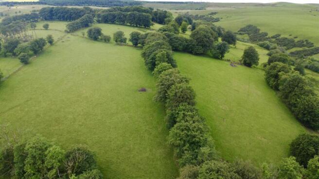 dji_fly_20260602_153212_954_1780410773233_photo_op