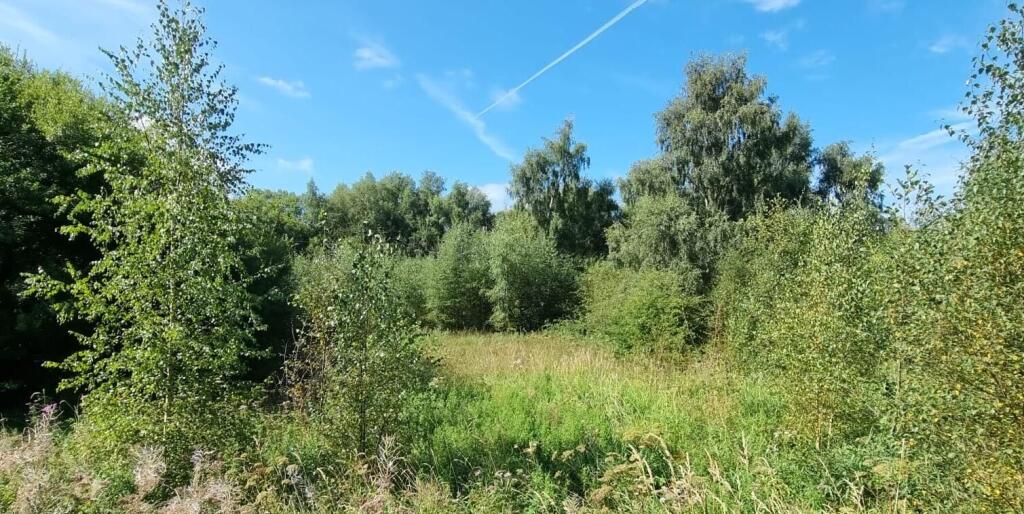Main image of property: Taylors Lane, Ince-in-Makerfield