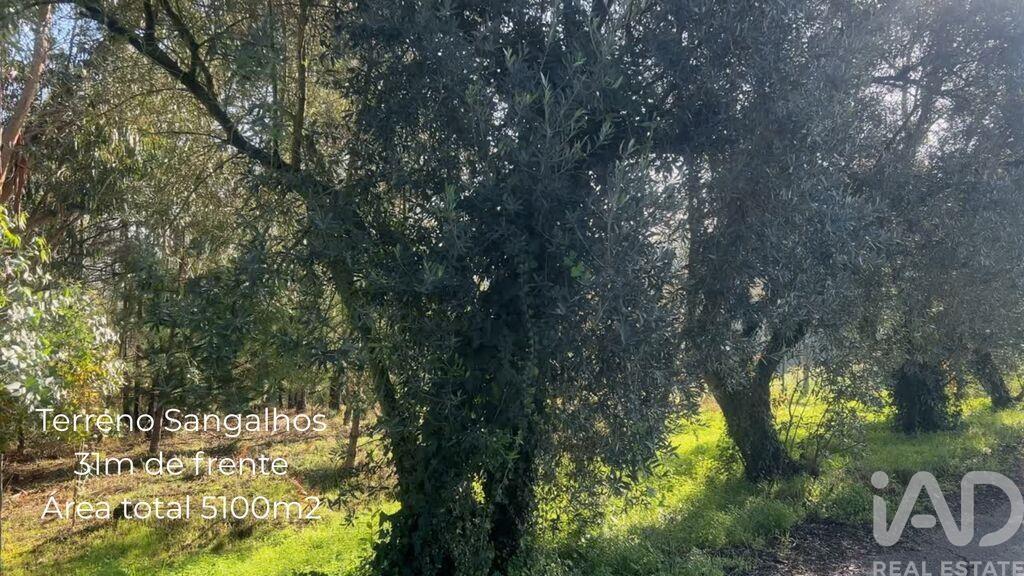 Main image of property: Aveiro, Sangalhos