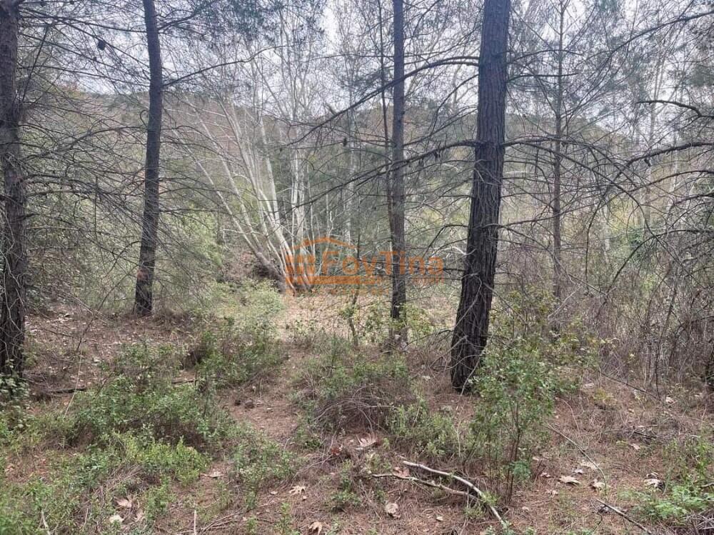 Main image of property: Limassol