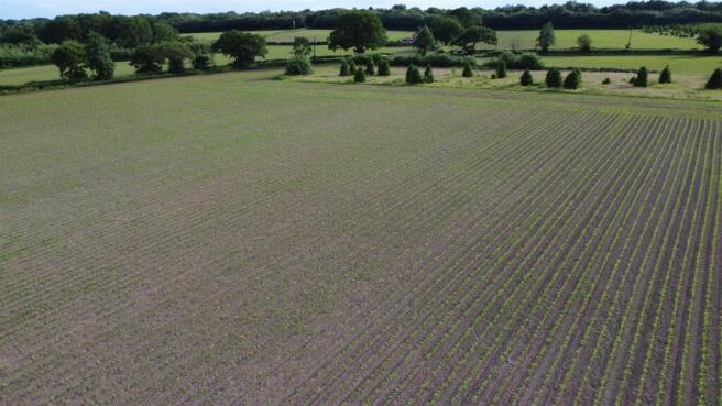 DJI_0517.JPG