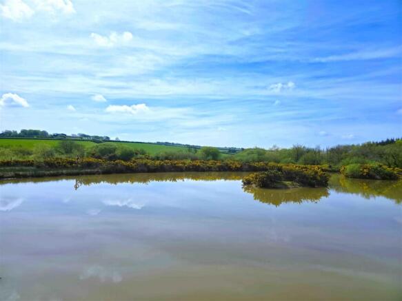 Big skies, expansive views.jpg