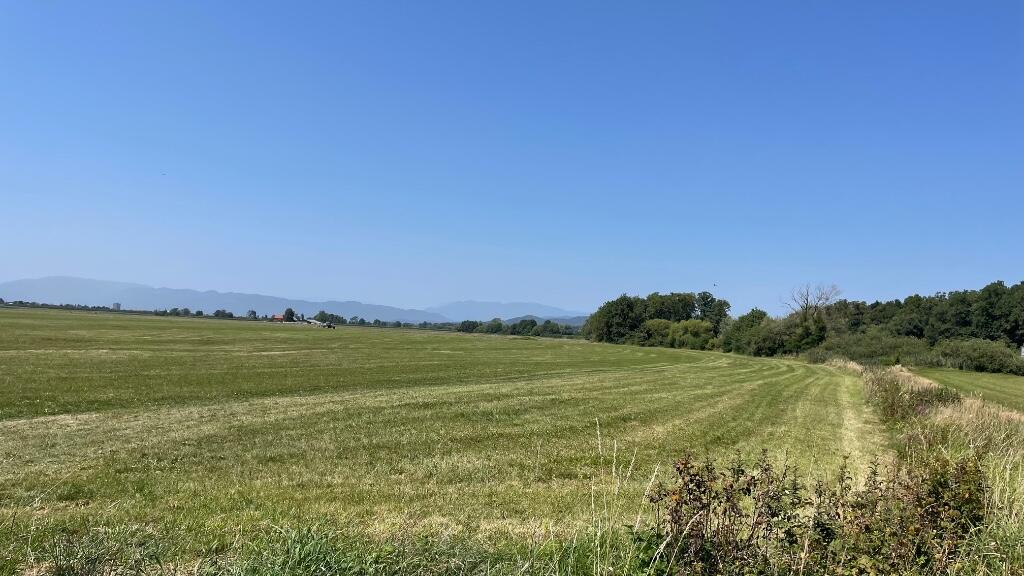 Main image of property: Celje, Celje