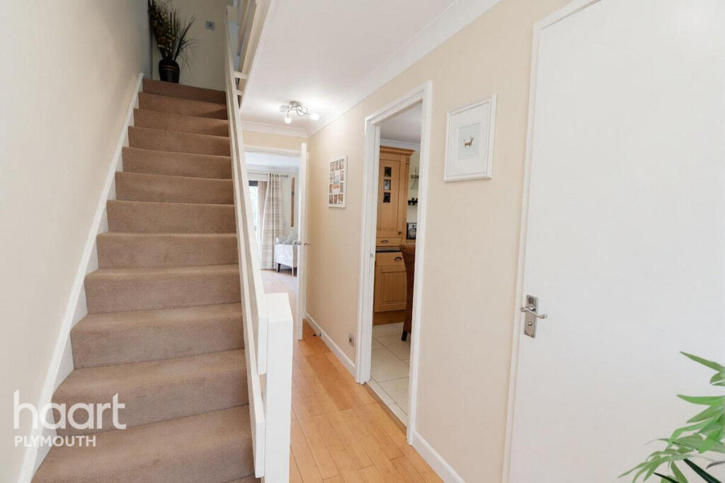 Apartment in Plymouth - More