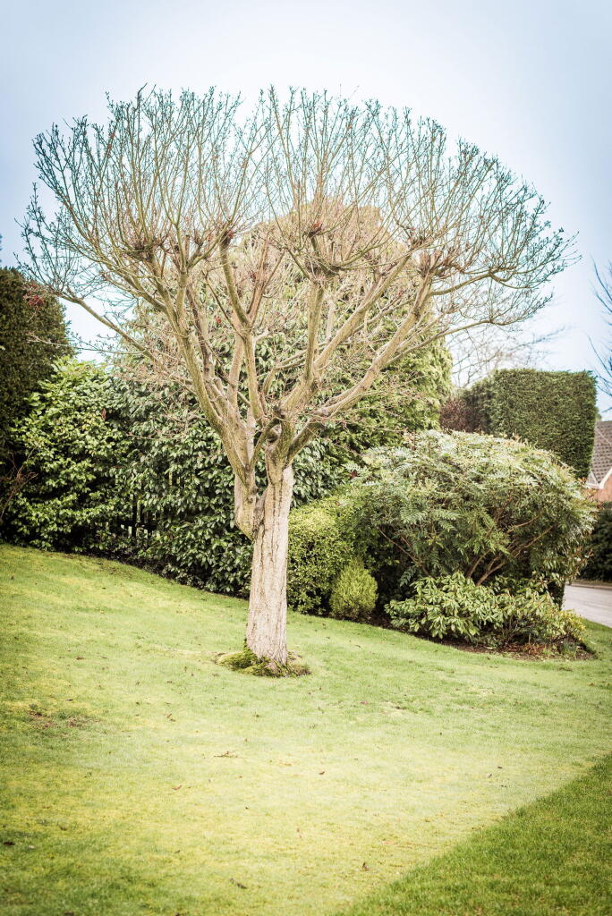 Additional image 43 of The Moorlands, Sutton Coldfield, B74 2RF