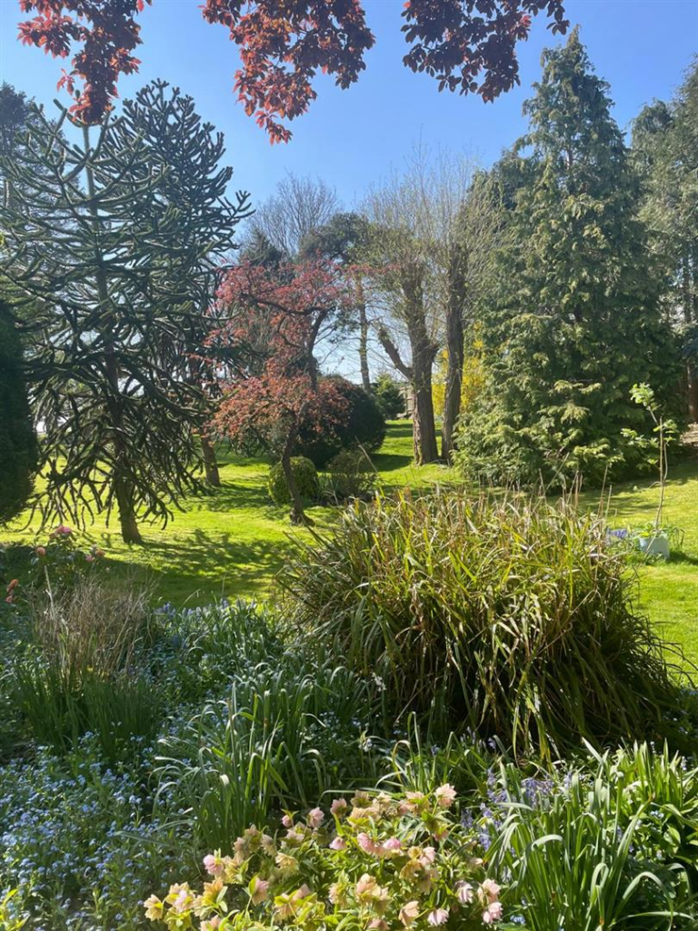 Additional image 5 of Bineham Lane, Yeovilton, Yeovil