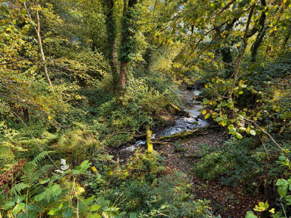 Stream Boundary