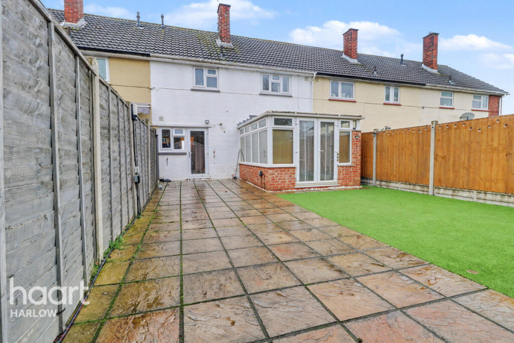 The Dashes, Harlow photo 4