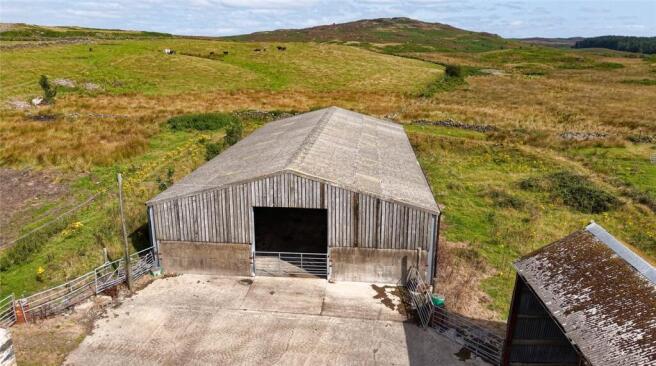 Cattle Shed