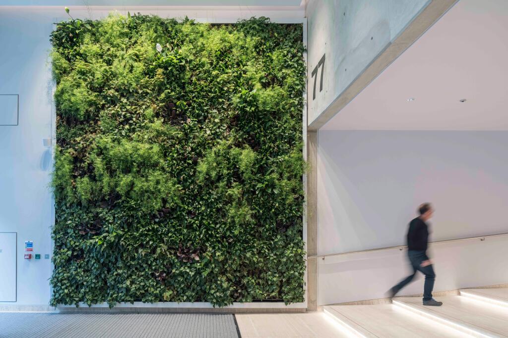 Living Green Wall
