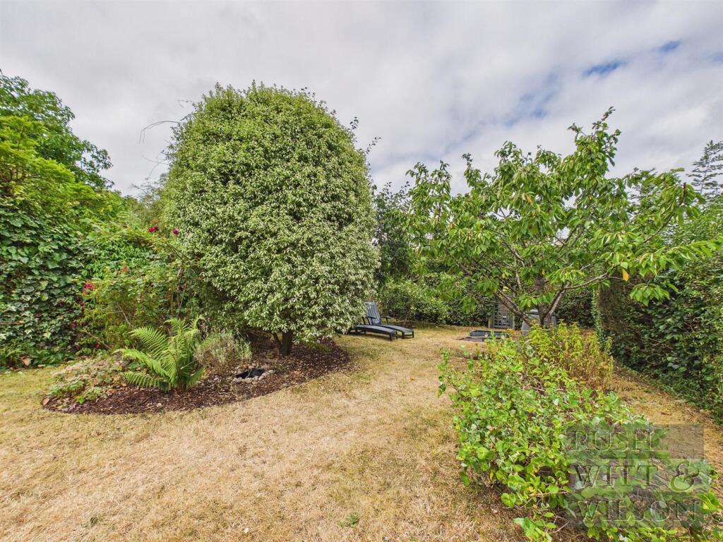 House in Rother, Cackle Street, Brede - View 5