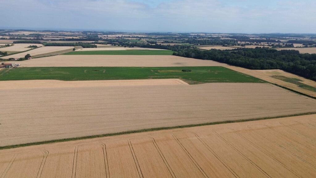 Grove Farm, Hindringham photo 3