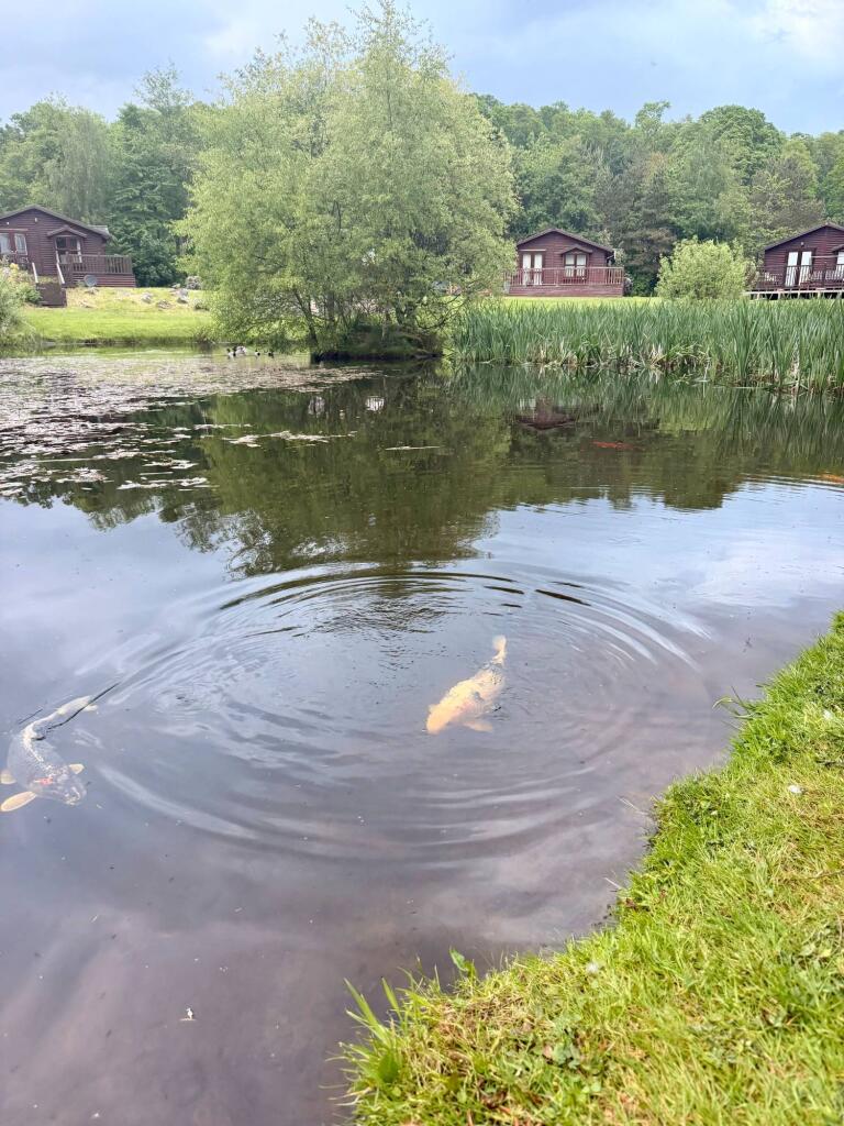 Gartmore, Stirling, FK8 3SA - More