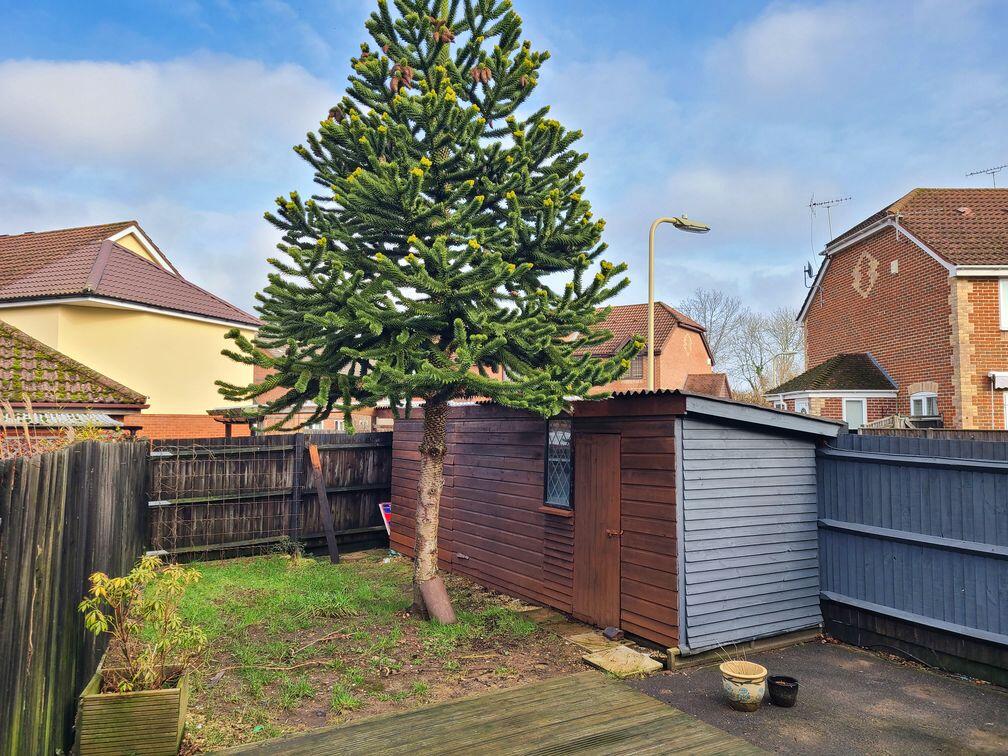 Roseleigh Drive, Ashurst Bridge, SO40 photo 2