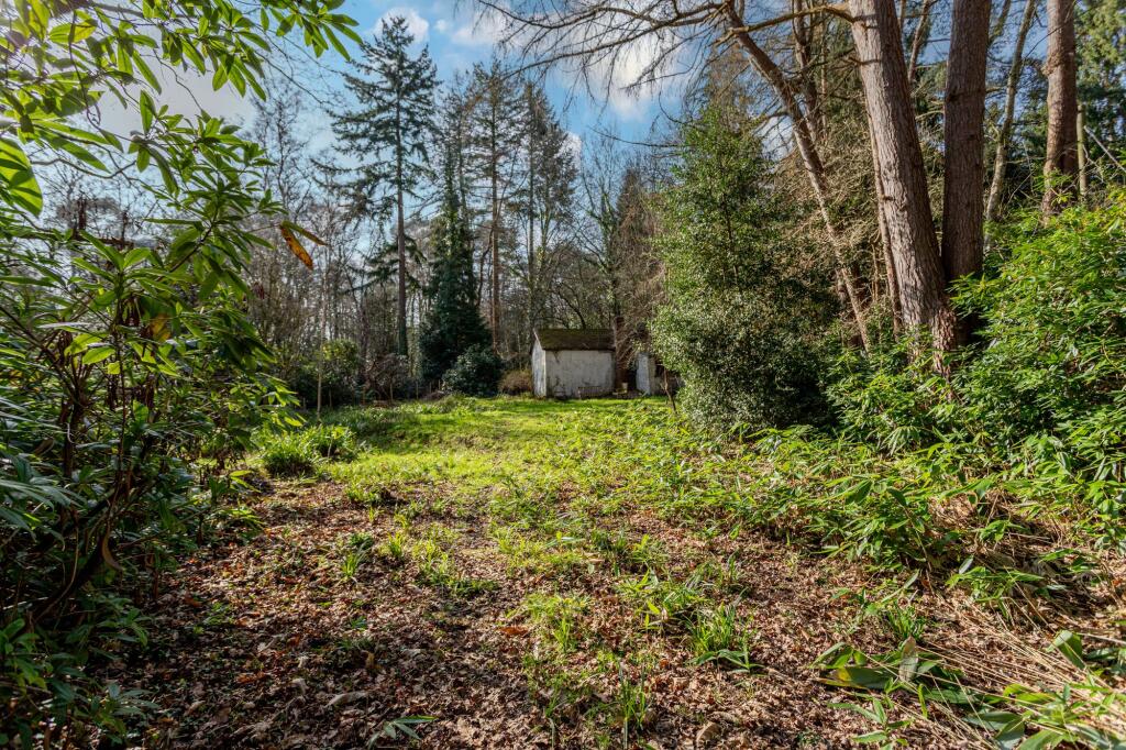 Hollybush Ride, Finchampstead, RG40 - View 5