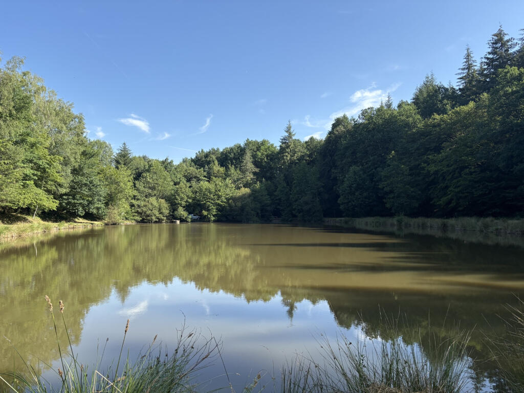 Main image of property: Limousin, Haute-Vienne, Bussière-Galant