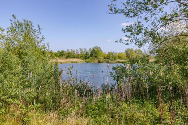Escomb Nature Reserve
