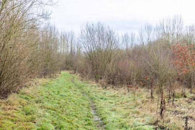 Woodland to the South of Main St Swepstone