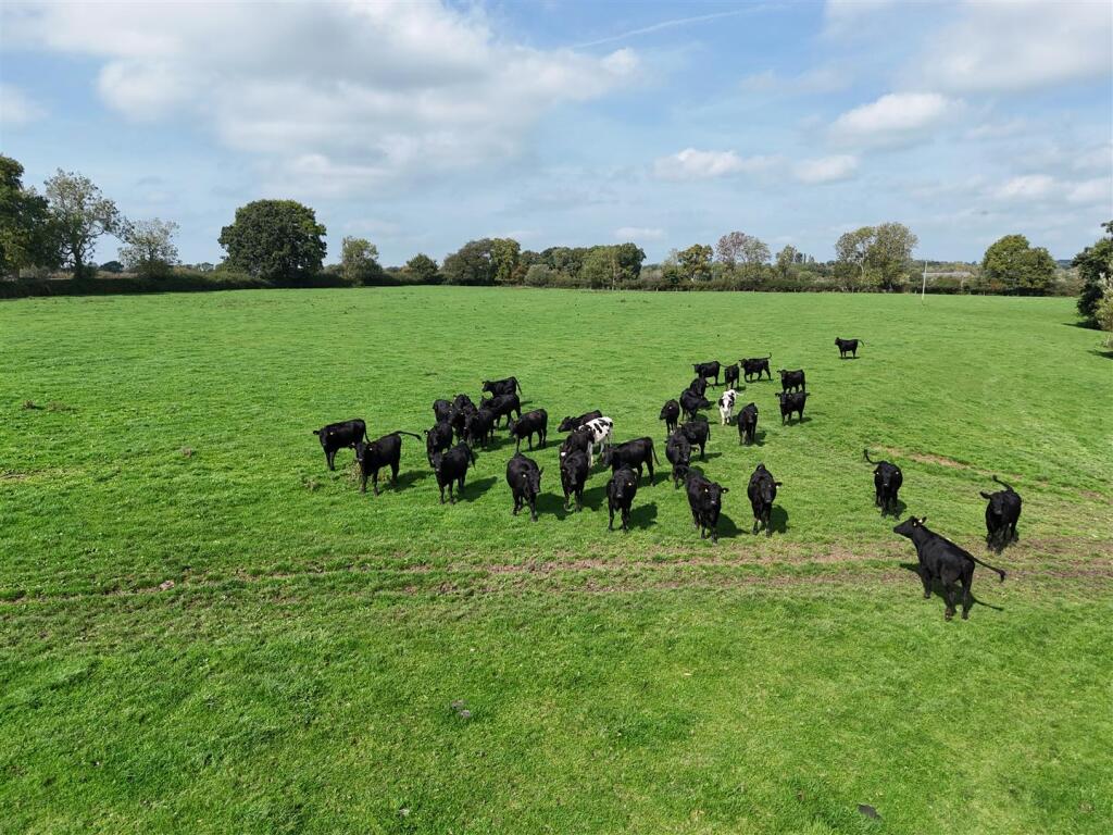 Additional image 15 of Charlton Musgrove, Wincanton