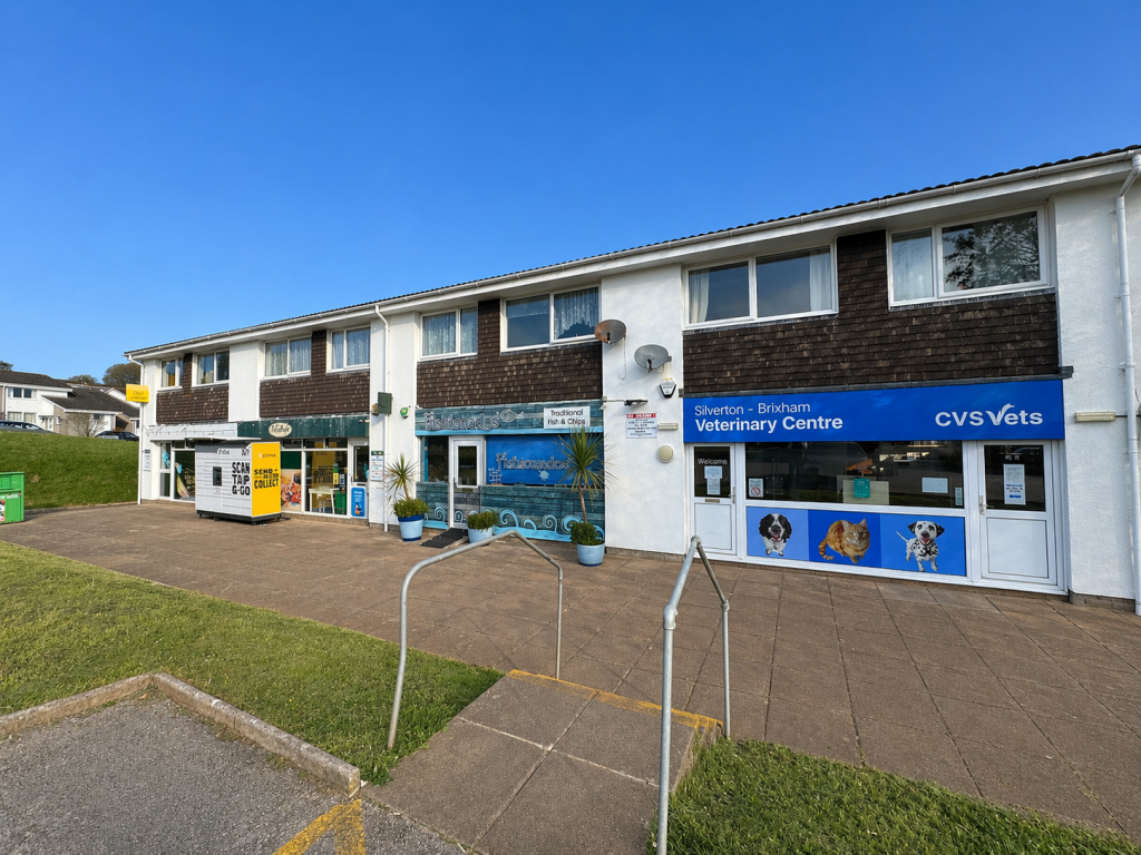 Main image of property: Summercourt Way, Brixham, TQ5 0DY
