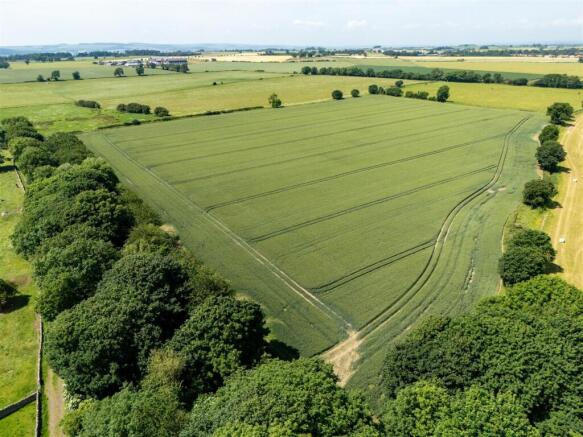 Productive farmland.jpg