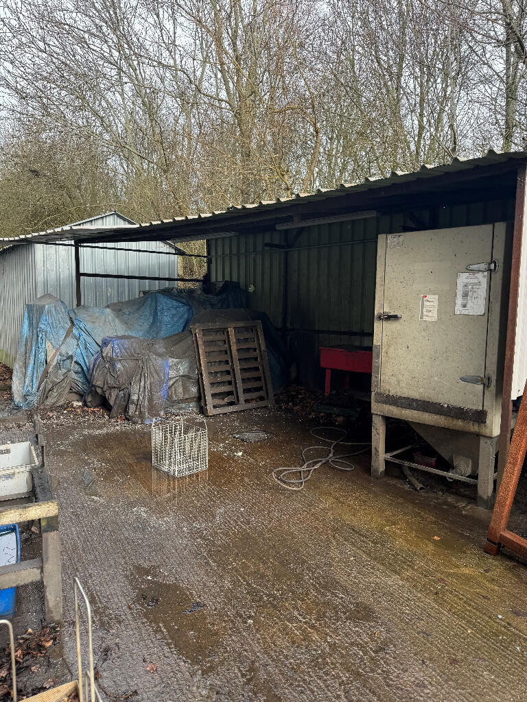 Yard Area