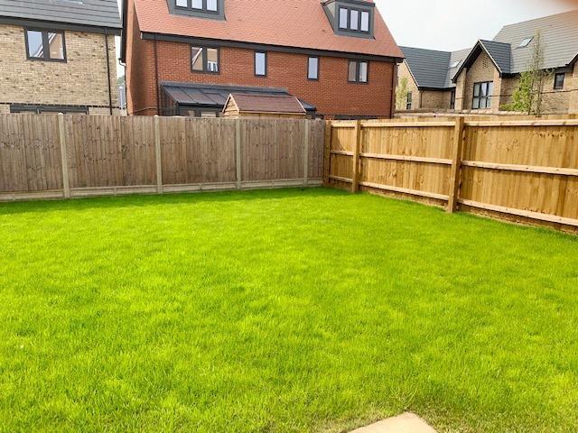 House in Peterborough - More