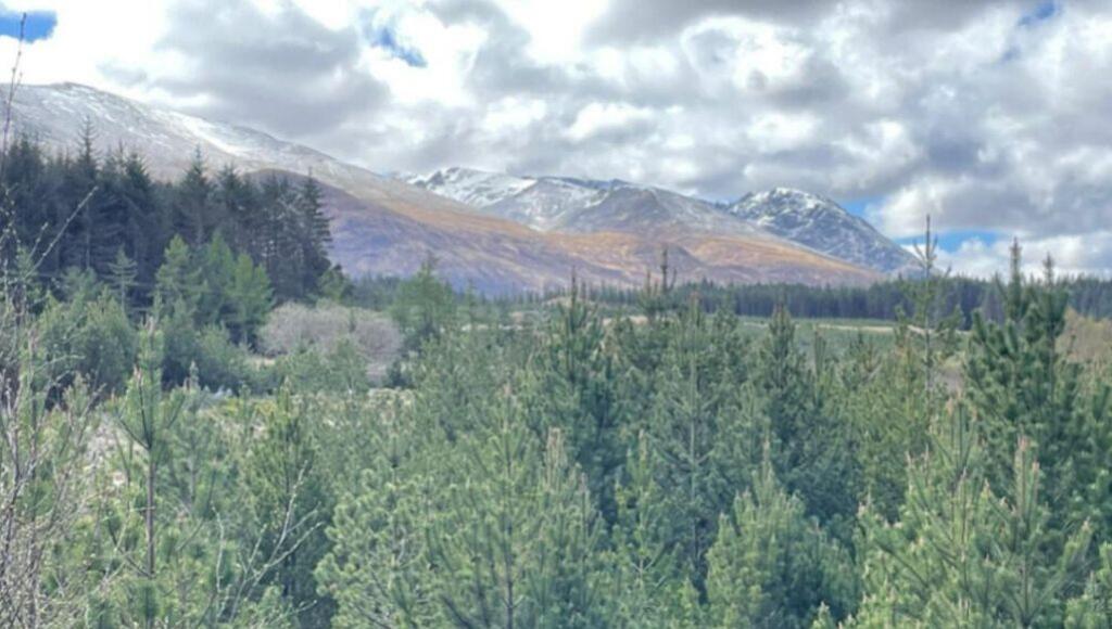 , Plot 2, Glen Nevis, Spean Bridge, Fort William, PH344EX - View 5