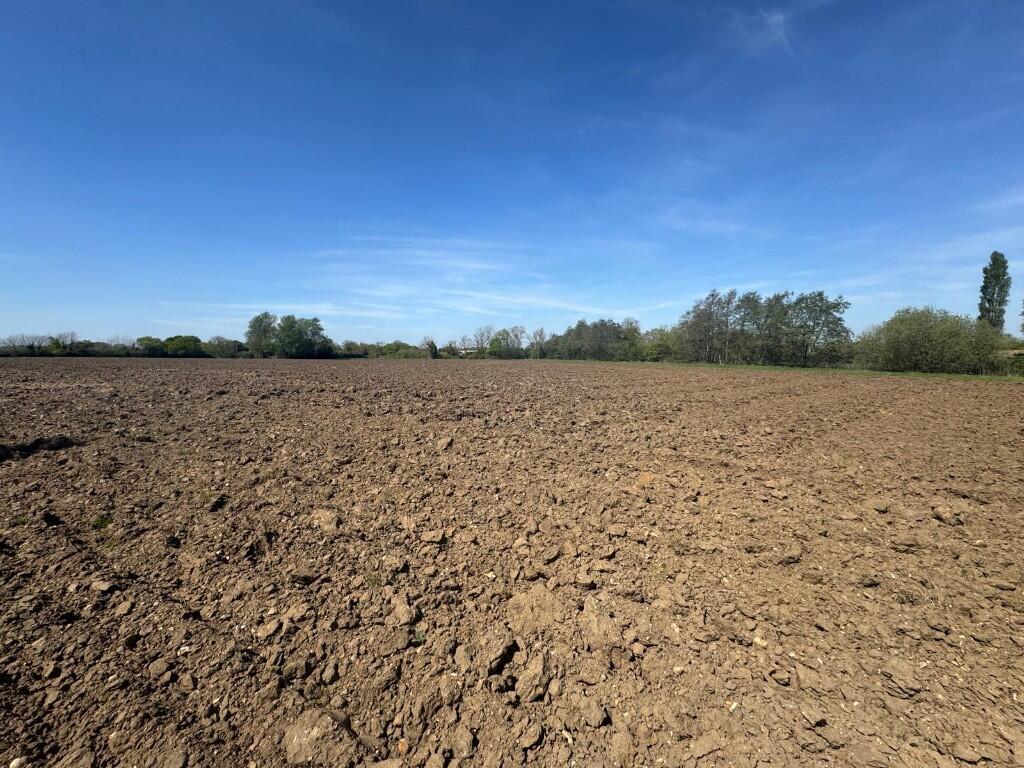 Main image of property: Land at Dam Brigg & Cuffer Lane, Buckenham, Norfolk