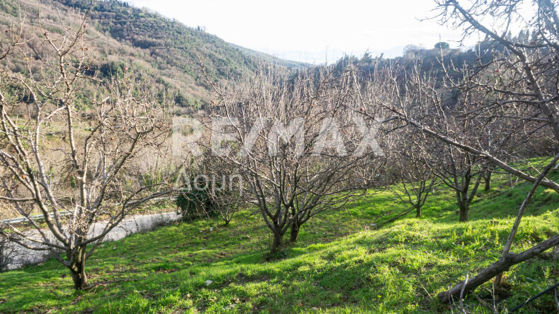 Main image of property: Thessalia, Magnesia, Agria