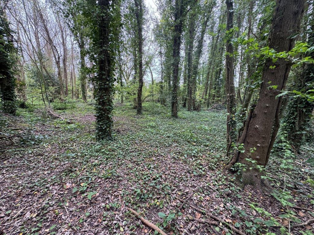 Main image of property: Dover Road, Deal