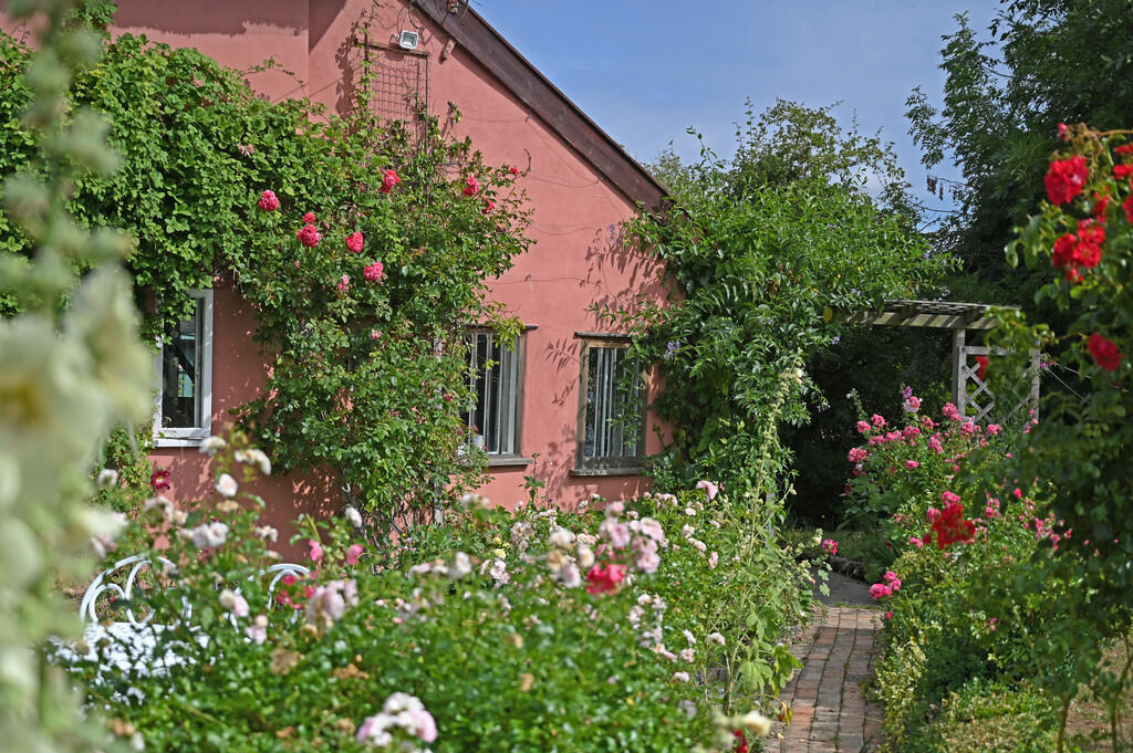 SUFFOLK, Bacton, Nr Stowmarket   EQUESTRIAN / LAND / LIFESTYLE / COUNTRY COTTAGE photo 3