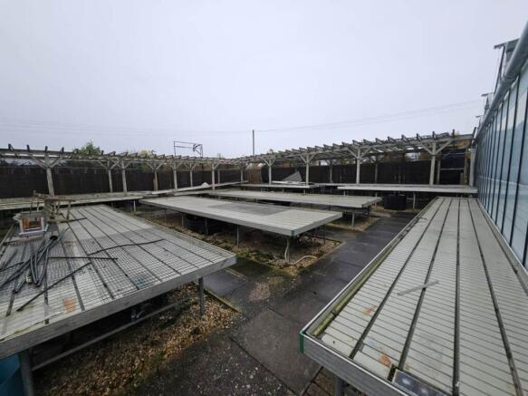 Marden Nurseries (4)
