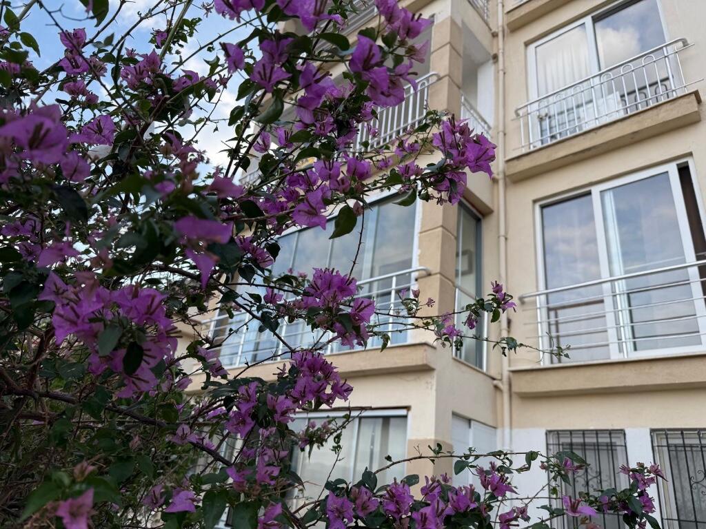 Main image of property: Tasyaka, Fethiye, Mugla