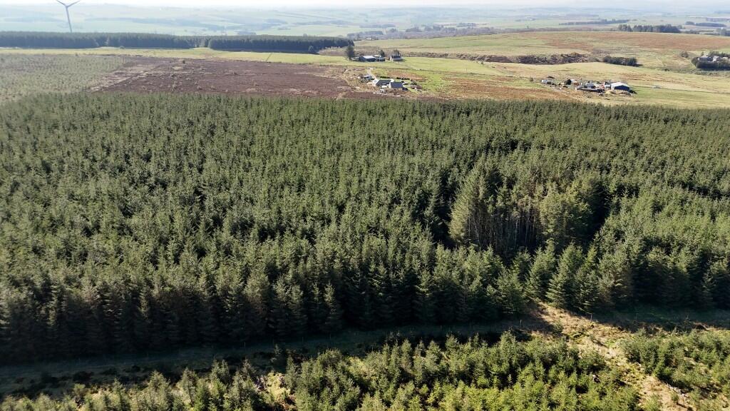 Additional image 11 of Lot 1 Woodland at Broadmuir, Hill of Fisherie, Turriff, AB53 5QL