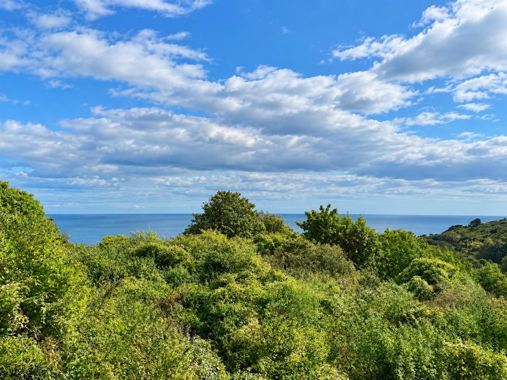 Apartment in Brixham, Rea Hill - View 4