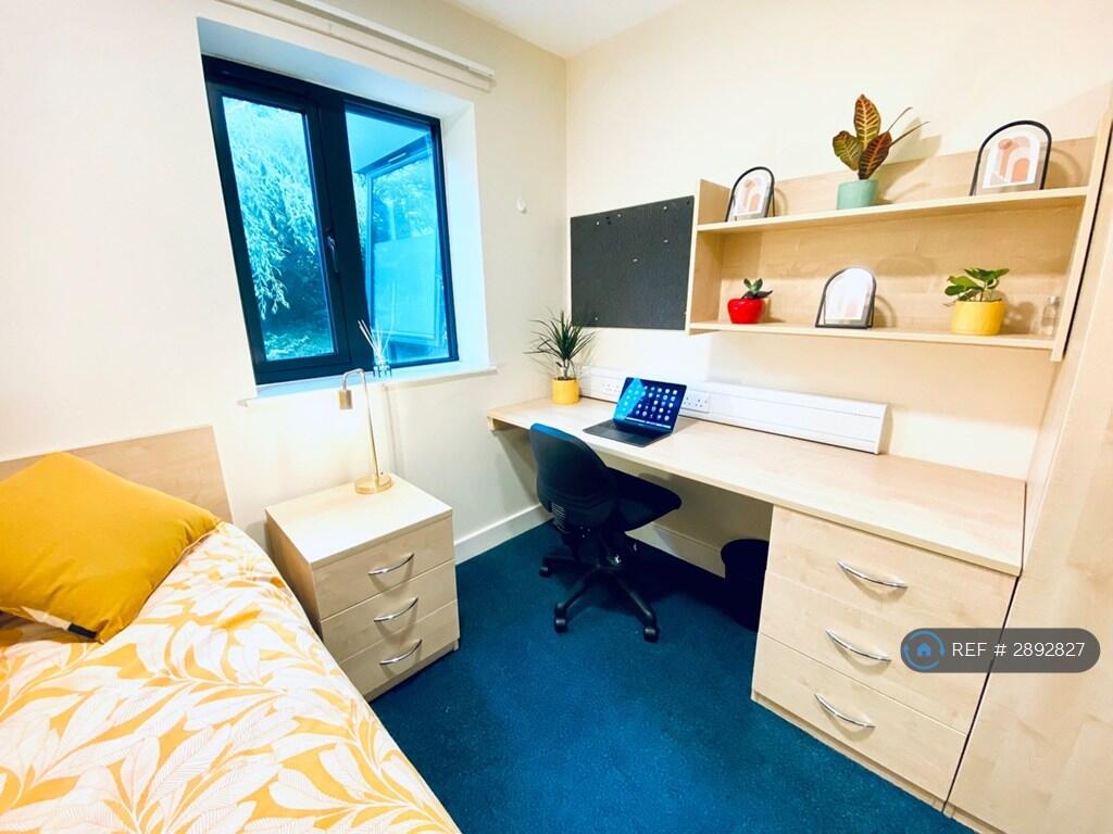 1 bedroom flat share for rent