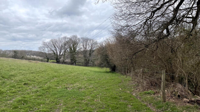 Bordered by mature trees and fencing.