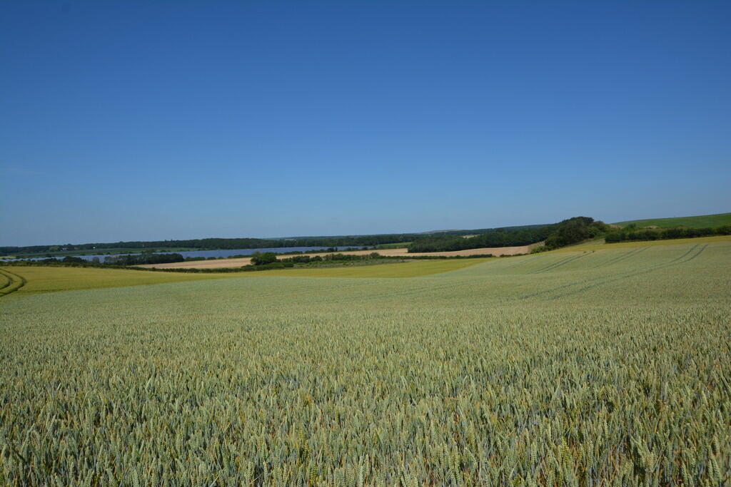 Bilsthorpe Road, Eakring - View 4