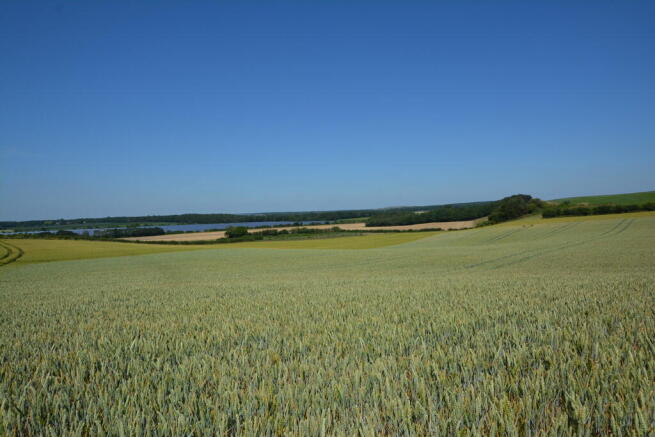 Field View To Rea...