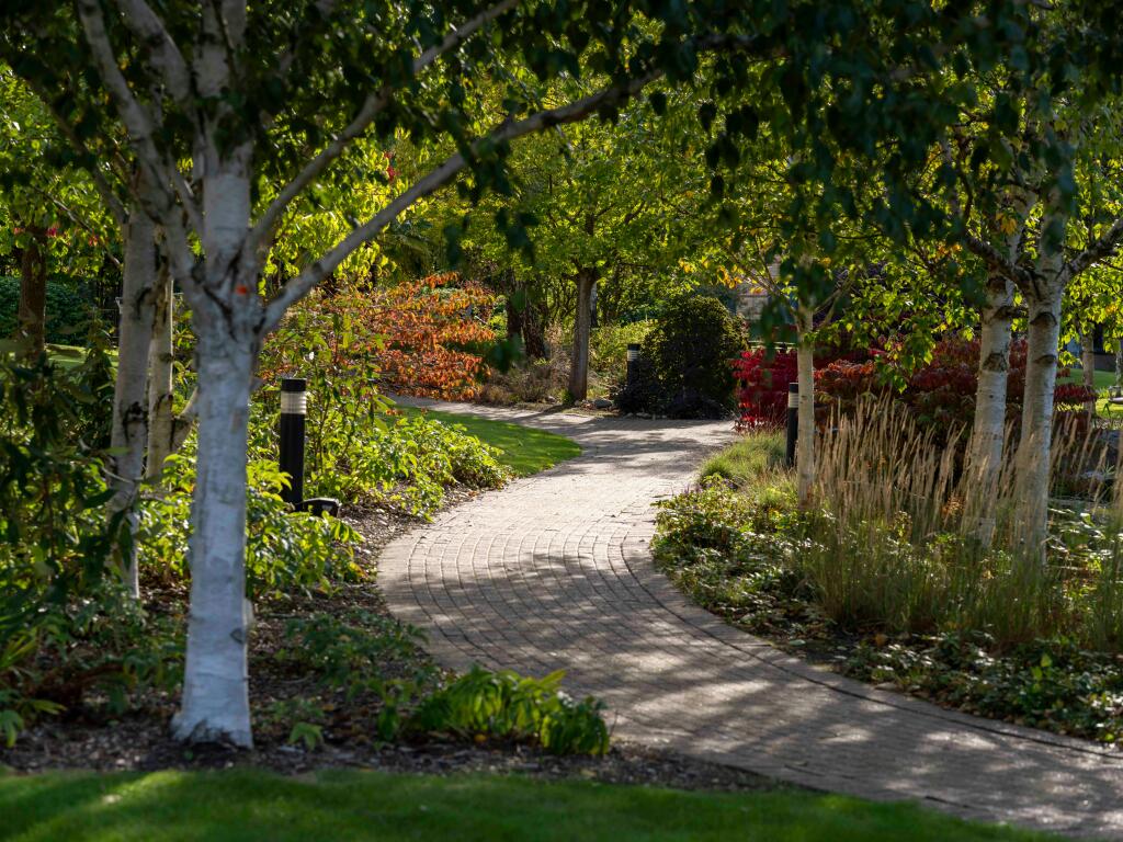 Pathways 8.jpg