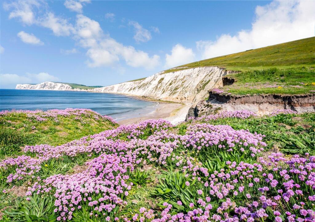 Main image of property: Acorn Avenue, Newport, Isle of Wight