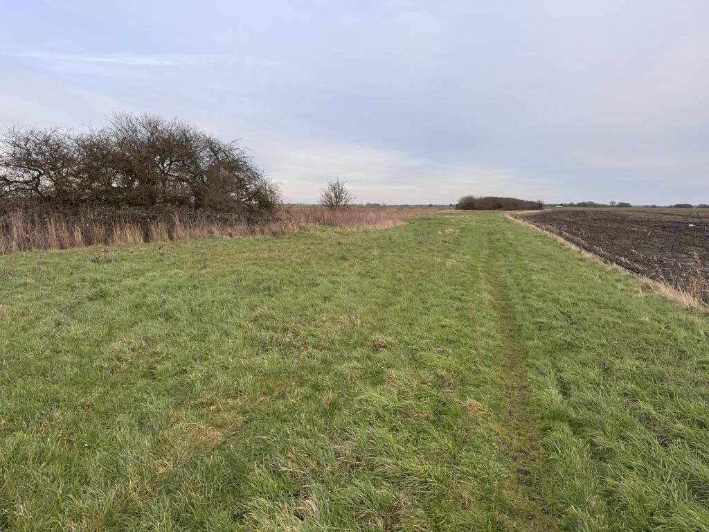 Main image of property: 2.82 Acres Of Land , On The East Side Of Black Drove, Marshland St James, Wisbech, Norfolk, PE14 8JX