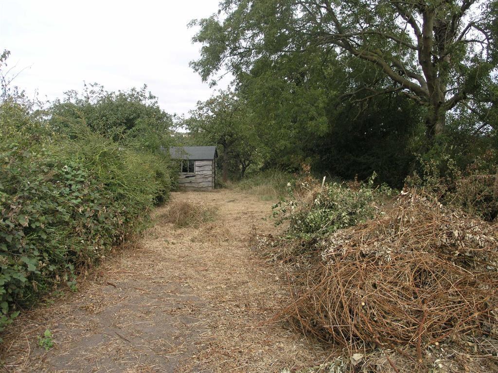 Photo of the property