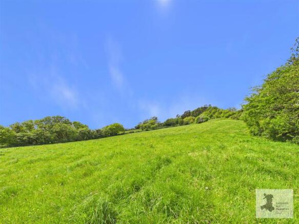 field