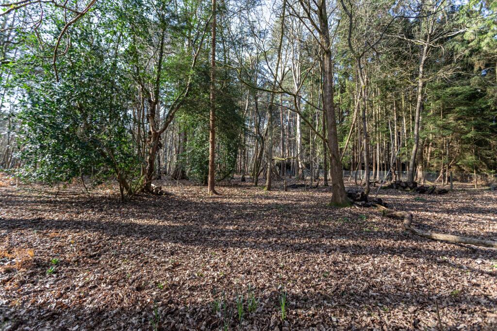 Hollybush Ride, Finchampstead, RG40 - View 6